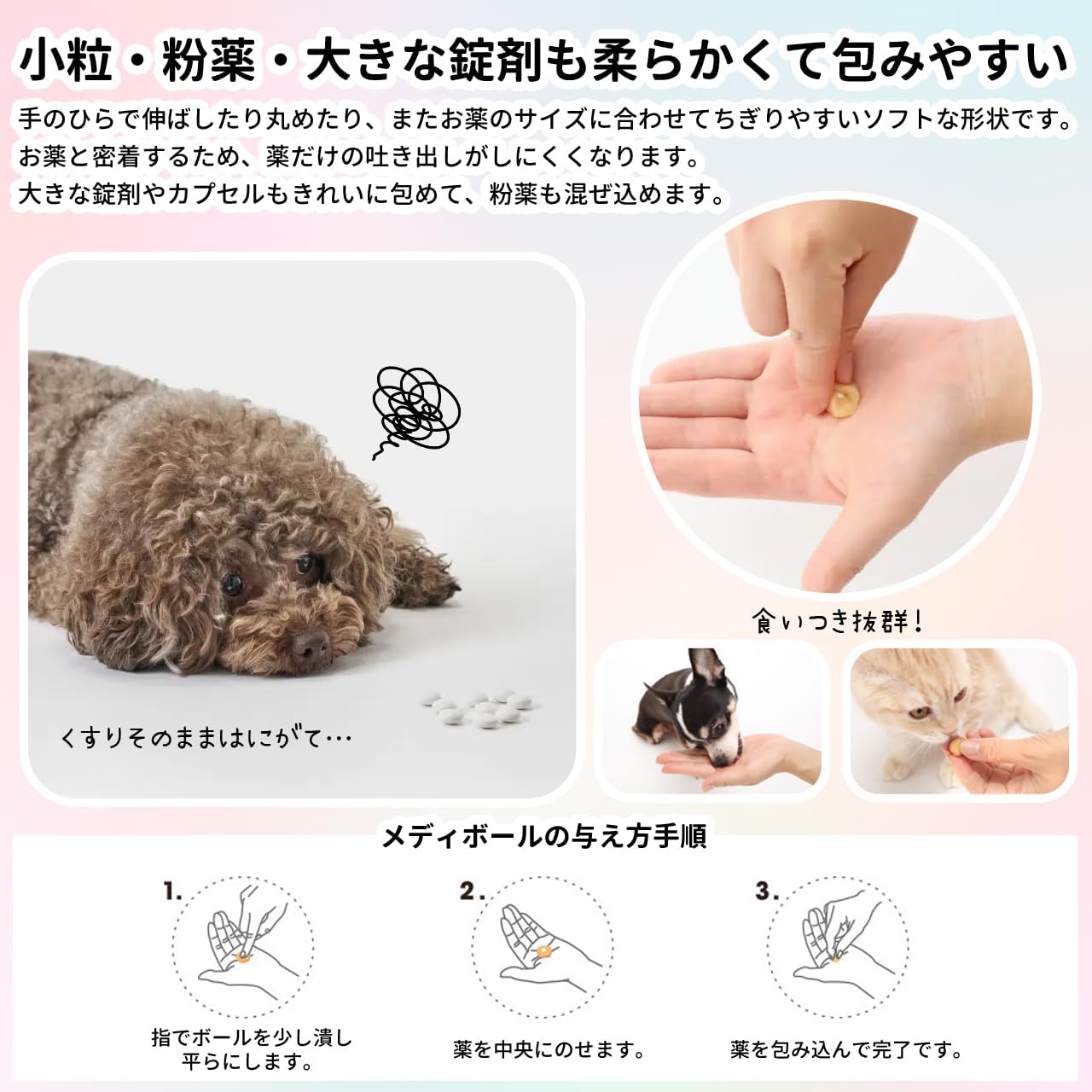 クリニカルべテリナリーアドバイザー―犬と猫の診療指針