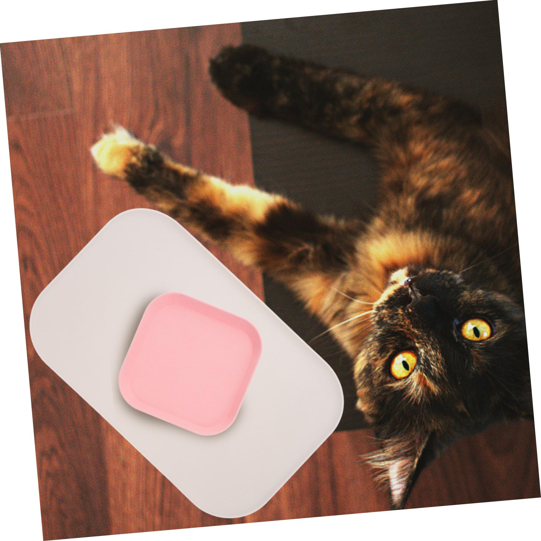 INOOMP 5stücke Erhöhte wasserdichte Silikon-pet-futtermatte Mit Rutschfestem Design Für Katzen Und Hunde Schützt Boden Vor Verschütten Und Wasser