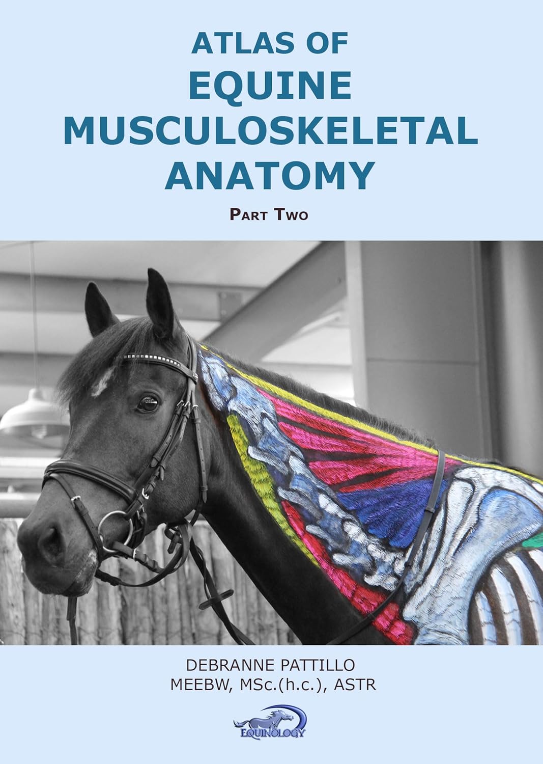 Atlas of Equine Musculoskeletal Anatomy: Part Two (Atlas of Equine Musculoskeletal Anatomy Book One 2)      Kindle Edition