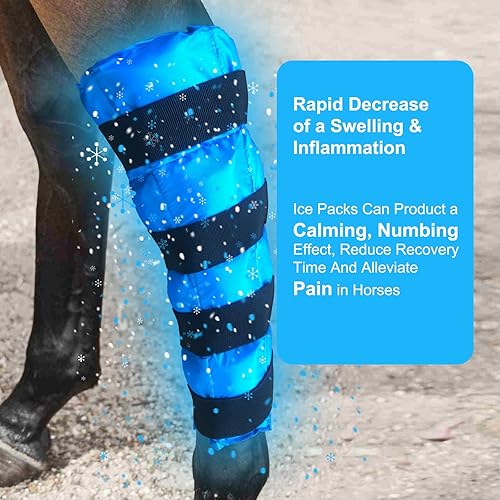 Miniatura 2 de Botas de hielo para caballo, envolturas de refrigeración para lesiones de caballos, paquete frío reutilizable para patas de caballo con correas