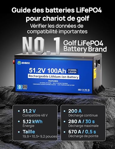 DCHOUSE 48V 100Ah LiFePO4 Batterie Voiturette de Golf Chargeur et Monitor - 2