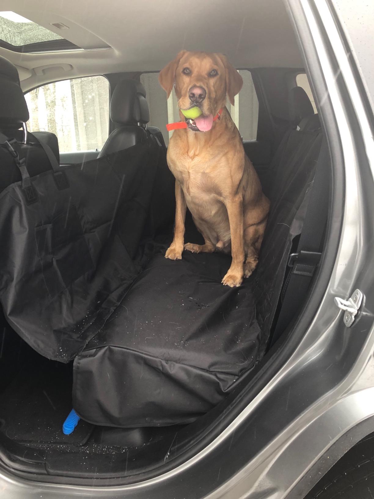 Great seat saver!!
