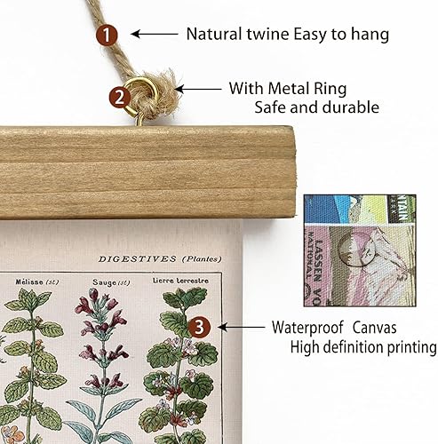 Miniatura 19 de XIAOAIKA Póster de botánica vintage con marco de madera, tabla de plantas venenosas antiguas, arte educativo botánico con especies peligrosas, 1