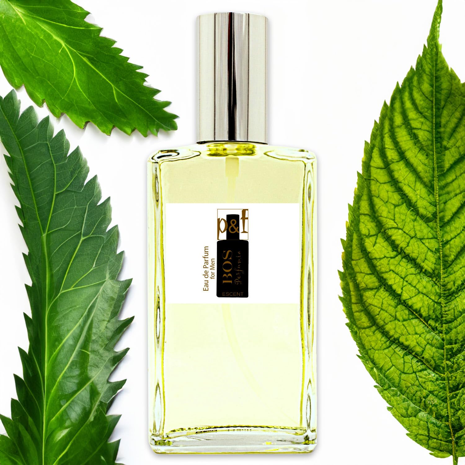 ESCENT BOS by p&f Perfumia, Eau de Parfum Spray for Men, 110 ml