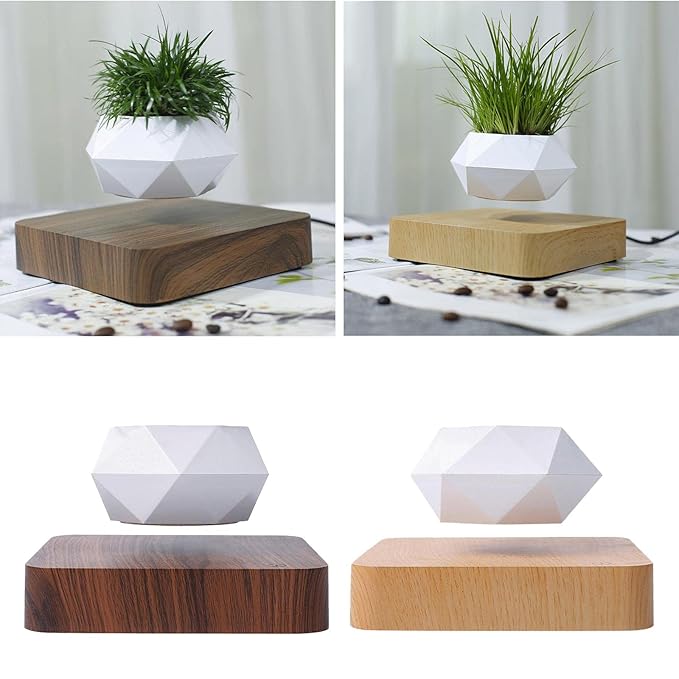 GAH Levitating Air Plant Pot Bonsai Suspension Floating Flower Pot