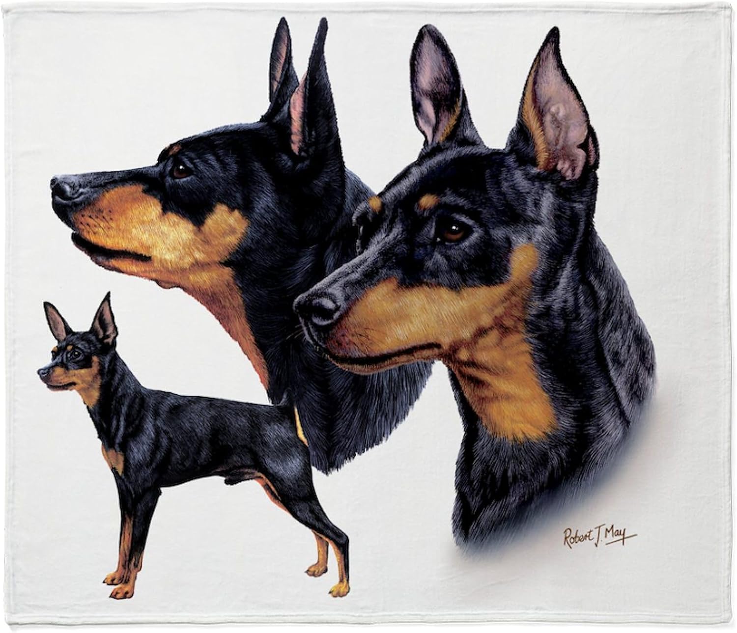 CafePress Min Pin Multi Throw Blanket Super Soft Fleece Plush Throw Blanket, 60"x50"