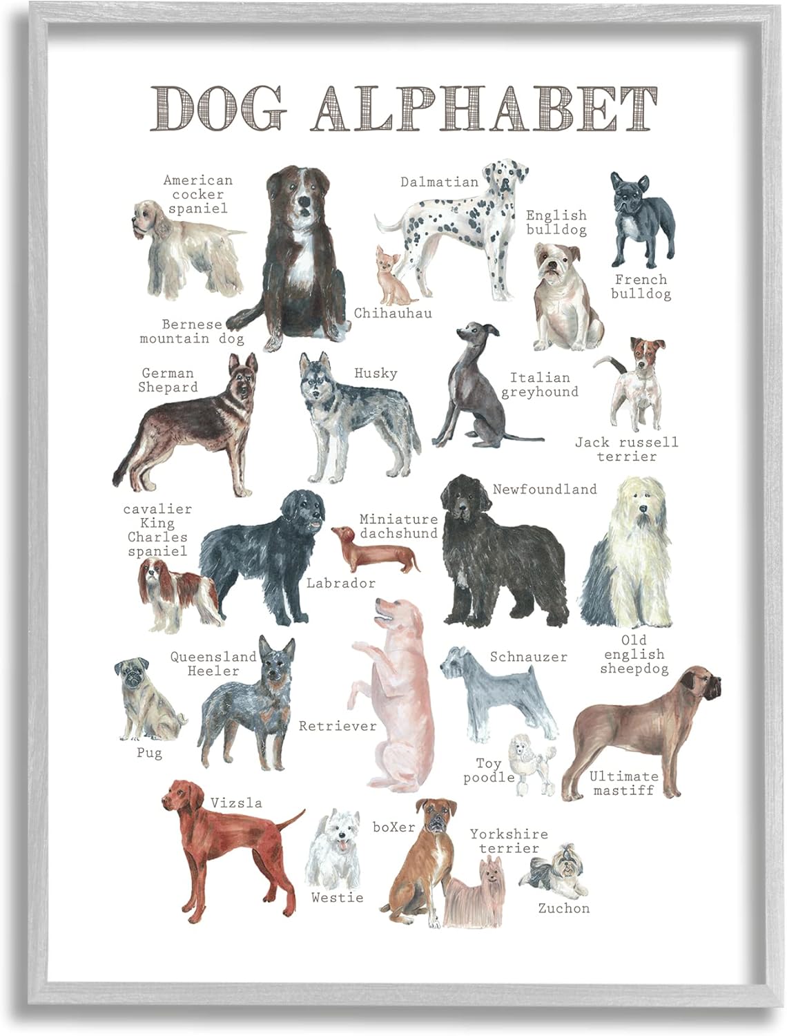 Stupell Industries Dog Alphabet Multiple Breeds Educational Animals Chart, Design by Dishique