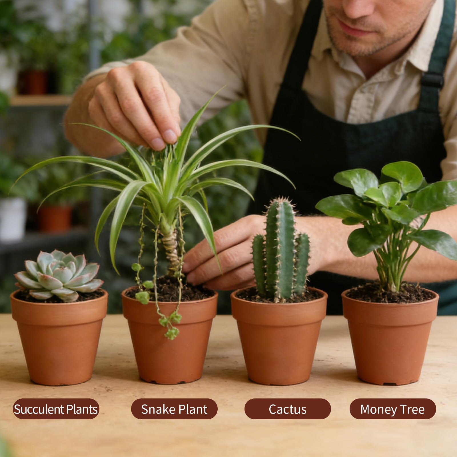 12 Vasetti In Terracotta Per Piantine, Piccoli Vasi In Terracotta Con Fori Di Drenaggio, Fioriere Riutilizzabili Adatte Per Cactus e Fiori, Per Uso Orticoltura (12)