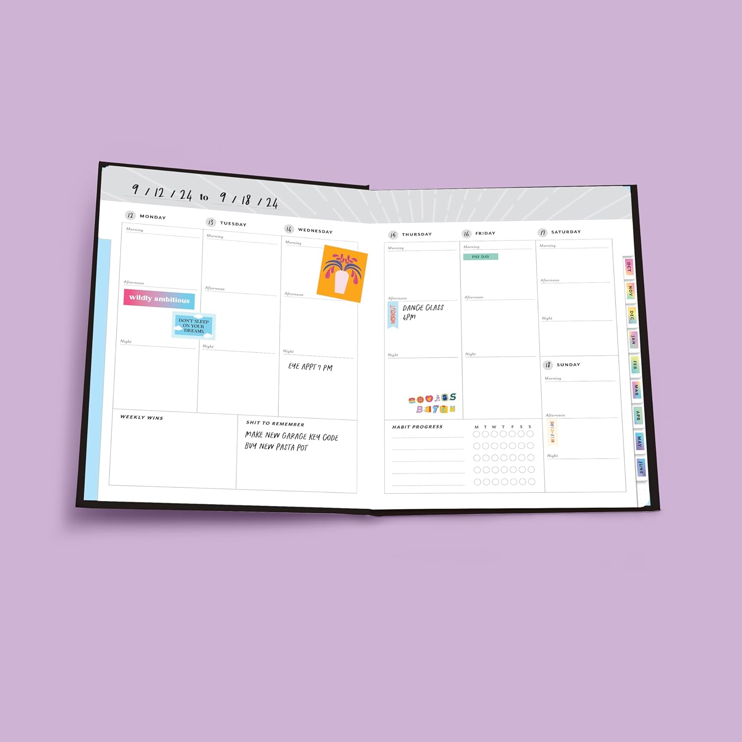 A Vision Board Planner: A 52-Week Undated Vision Board Planner to Manifest Your Big F*cking Dreams      Calendar – October 1, 2024