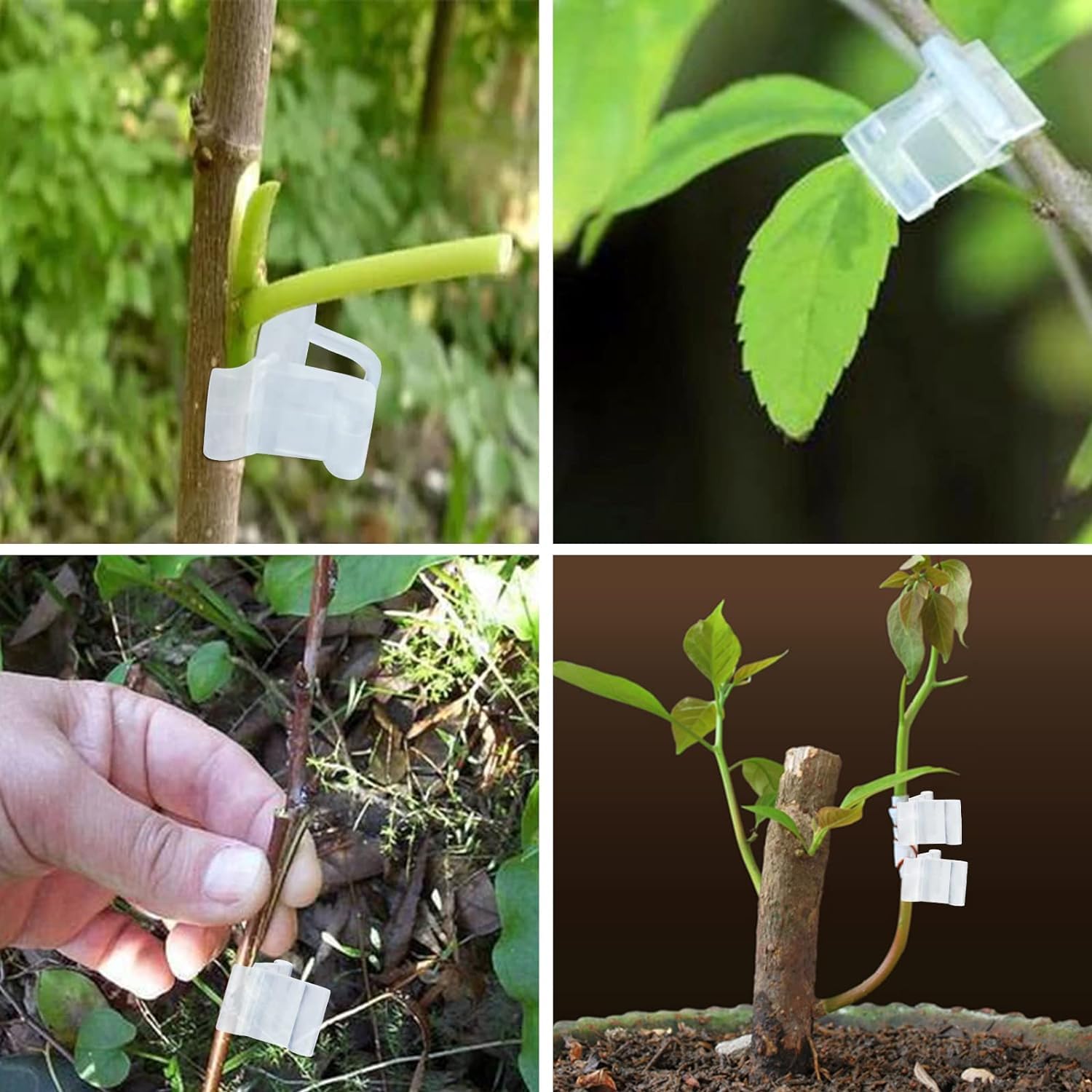 100 Clips De Greffage 3mm - Pour Tomates, Légumes Et Fleurs - Support De Plantes Jardinage