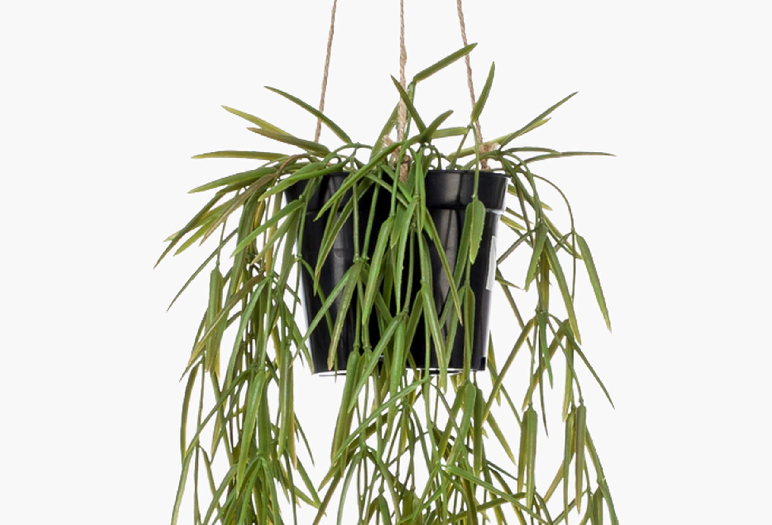 artplants.de Panier Artificielle Suspendu, Vert, 80cm