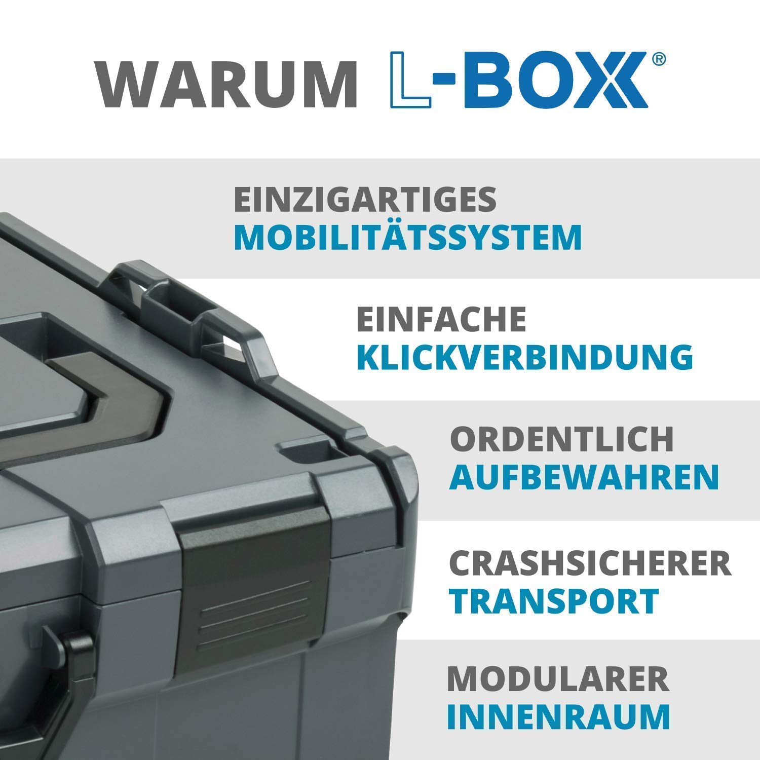 Organizzazione Viti | L-BOXX 102 Boxen-Set | CD3 Inserti con Deckenpolster | Cofanetti Assortimento per Piccole Parti|Conservazione Viti