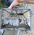 Review Image by Hey Dudes Hey Dudes