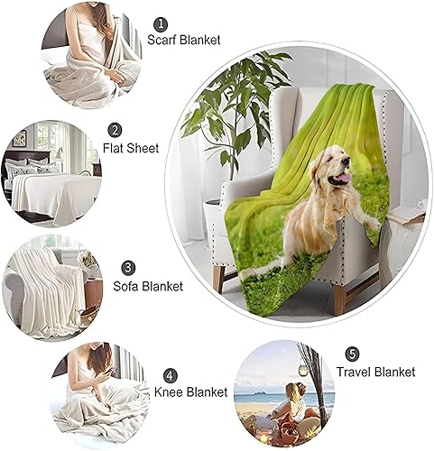 Miniatura 7 de Manta de forro polar Animal-Labrador Retriever para sofá, cama y sofá (60 x 80 pulgadas), ultra suave, ligera y acogedora, no se desprende pelusa,
