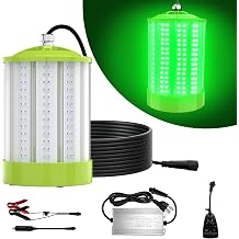 JESLED 110V & 12V/24V Underwater Fishing Light, 80W Super Bright Green Fishing Light for Docks/Boats/Kayaks, IP68 Waterproof for Fresh & Salt Water, Dusk to Dawn Timer Included 33FT Cable