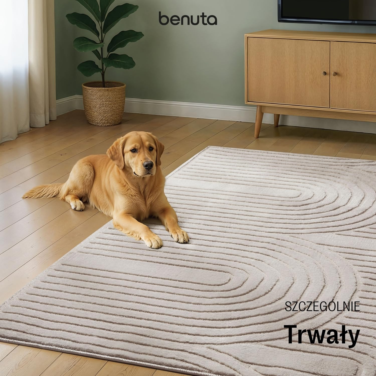benuta Basic Dywan salon Claire - Kremowy 240x340 cm - Minimalistyczny geometryczny retro - Łatwy w czyszczeniu - Odpowiedni na ogrzewanie podłogowe