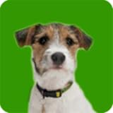 KoolAppz