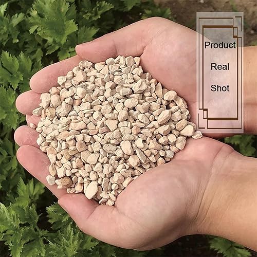 Miniatura 6 de Rocas de Diatomita Premium de 2.5 libras Enmiendas del Suelo Tierra de Diatomeas (DE) Aditivo de Suelo para Suculentas, Cactus, Plantas de