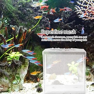 Incubator Breeder Aquarium Fish Tank Aquarium Fish Breeding Box, Isolation Mesh Box, Fish Breeding Incubator Multifunctional for Fish Tank