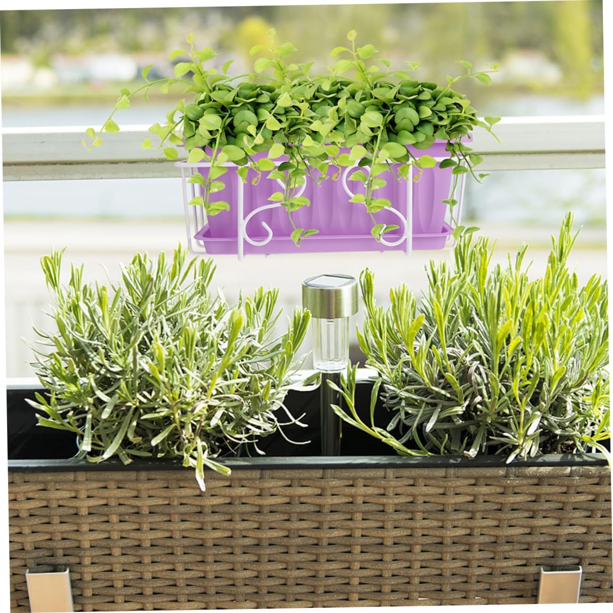 Rectangular Hanging Flower Pot with White Iron Bracket and Tray, Medium Vegetable Growing Planter Box for Outdoor Balcony Garden, Purple Plant Container for Vegetable and Flower