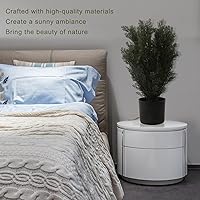 Vista 3 de Árbol topiario de cedro de 2 pies para puerta de porche delantera, plantas falsas en maceta de 4 pies, árbol de ciprés de pino falso, arbustos