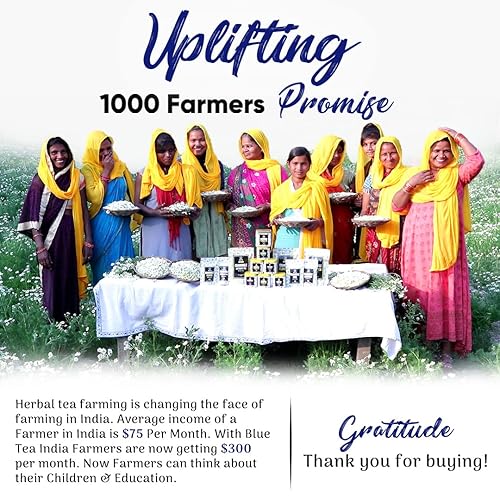 Miniatura 6 de BLUE TEA - Té de flor de guisante de mariposa + té de capullos de rosa | Secado al sol natural | Té de hierbas más fresco | Alto en antioxidantes |