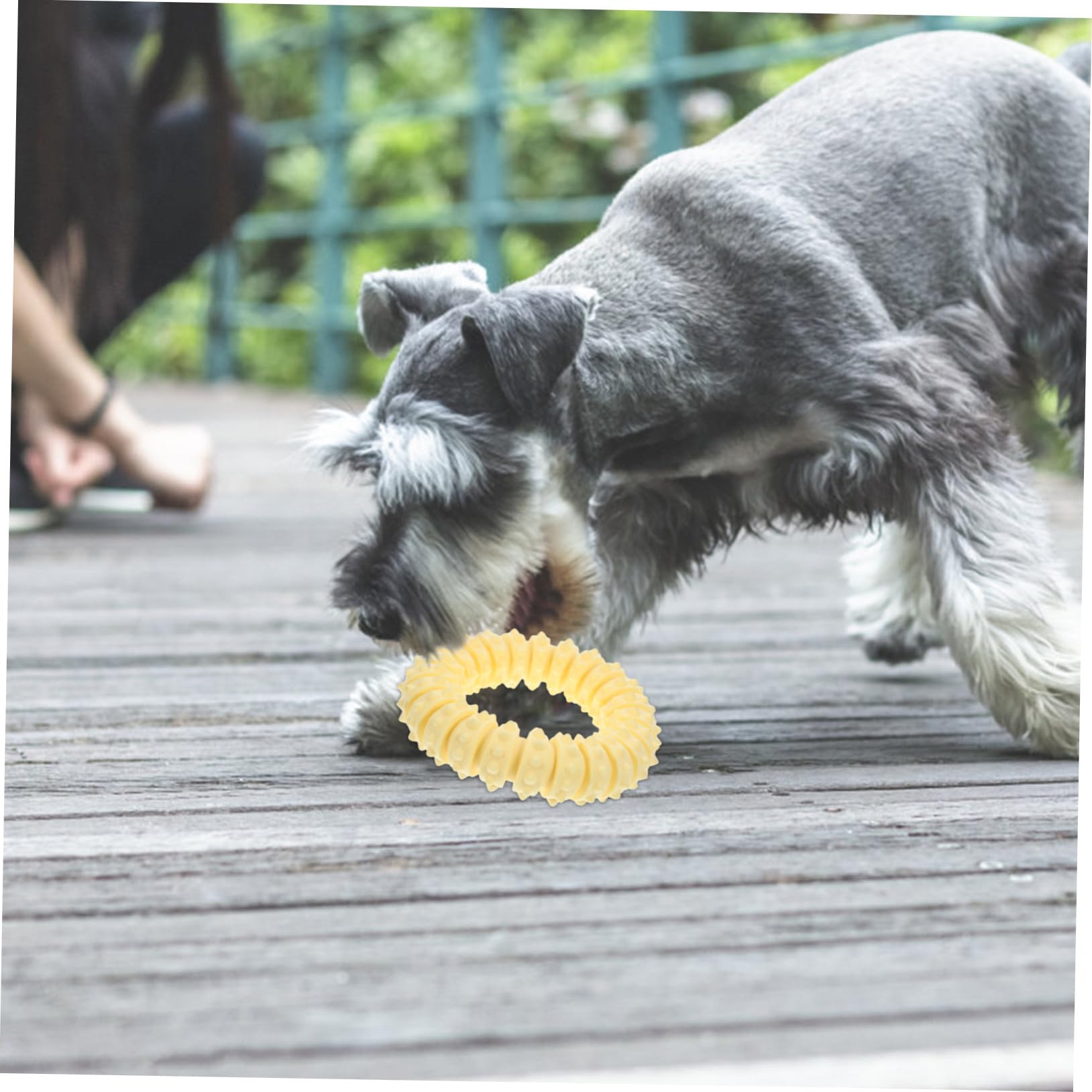 INOOMP 3pezzi Giocattolo Da Masticare Per Cani Anello Morbido Per Cuccioli Stimola Gioco e Crescita Sana Attività Intelligente Giocattolo Indistruttibile Per Teething e Snack