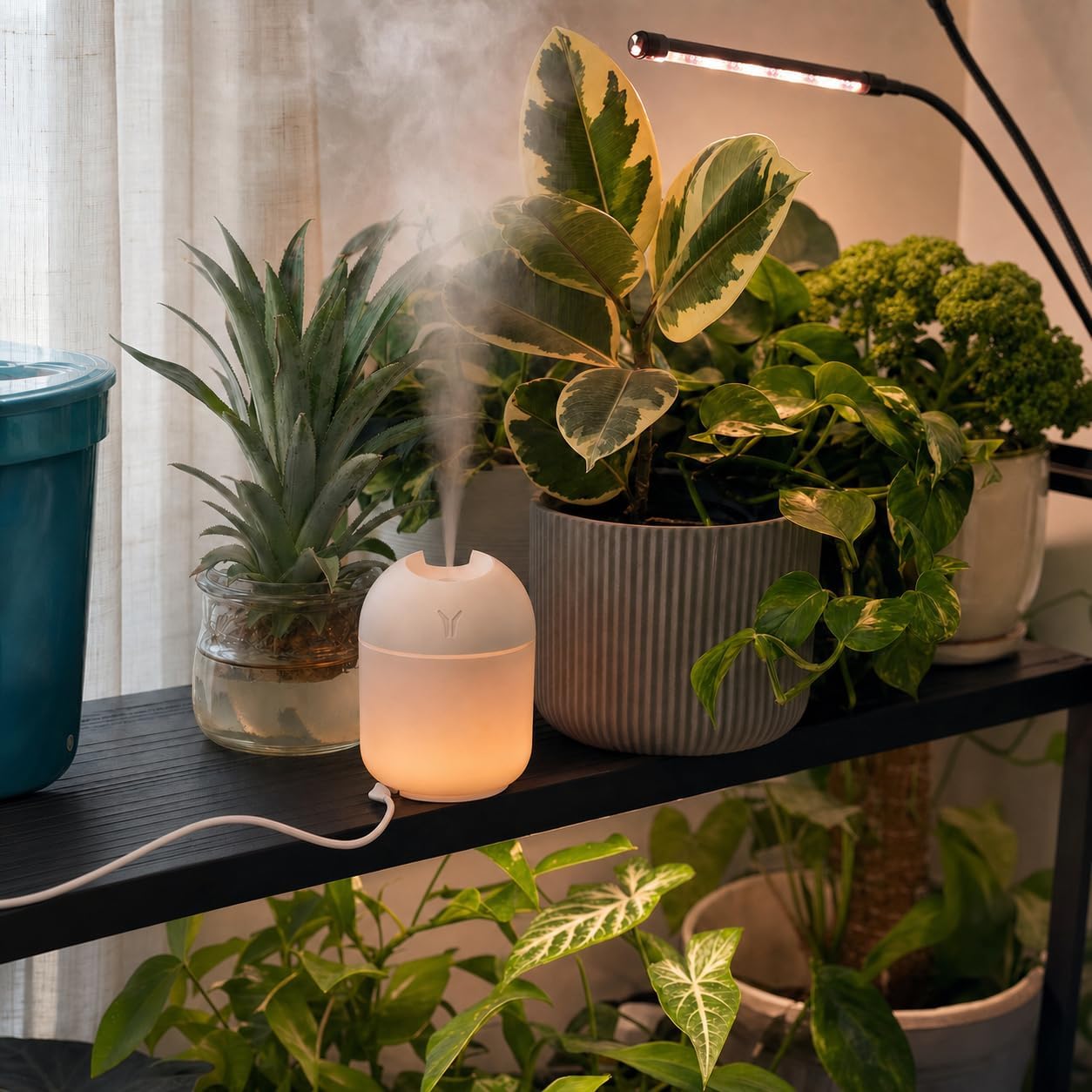 Humidifier Small, 8.45OZ USB Portable Mini Humidifier with Color Night Light, Auto Shut-Off Quiet Desktop Cool Mist Humidifier for Bedroom, Office, Car, Travel, Indoor Plants, Baby Room image 5