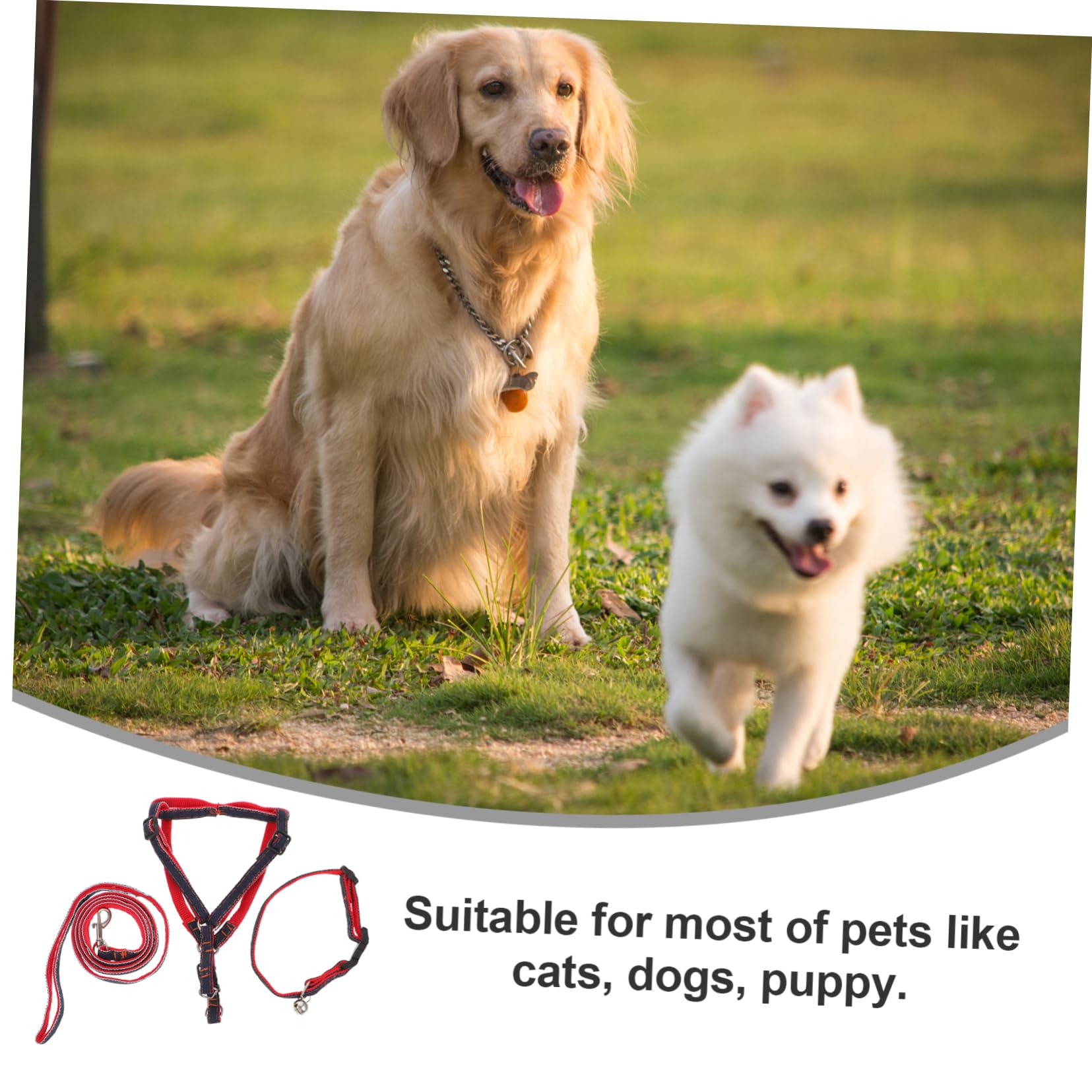 BCOATH Pet Harness Set Dog Leash Comfortable Fit Durable Nylon Webbing Smooth Alloy Buckle