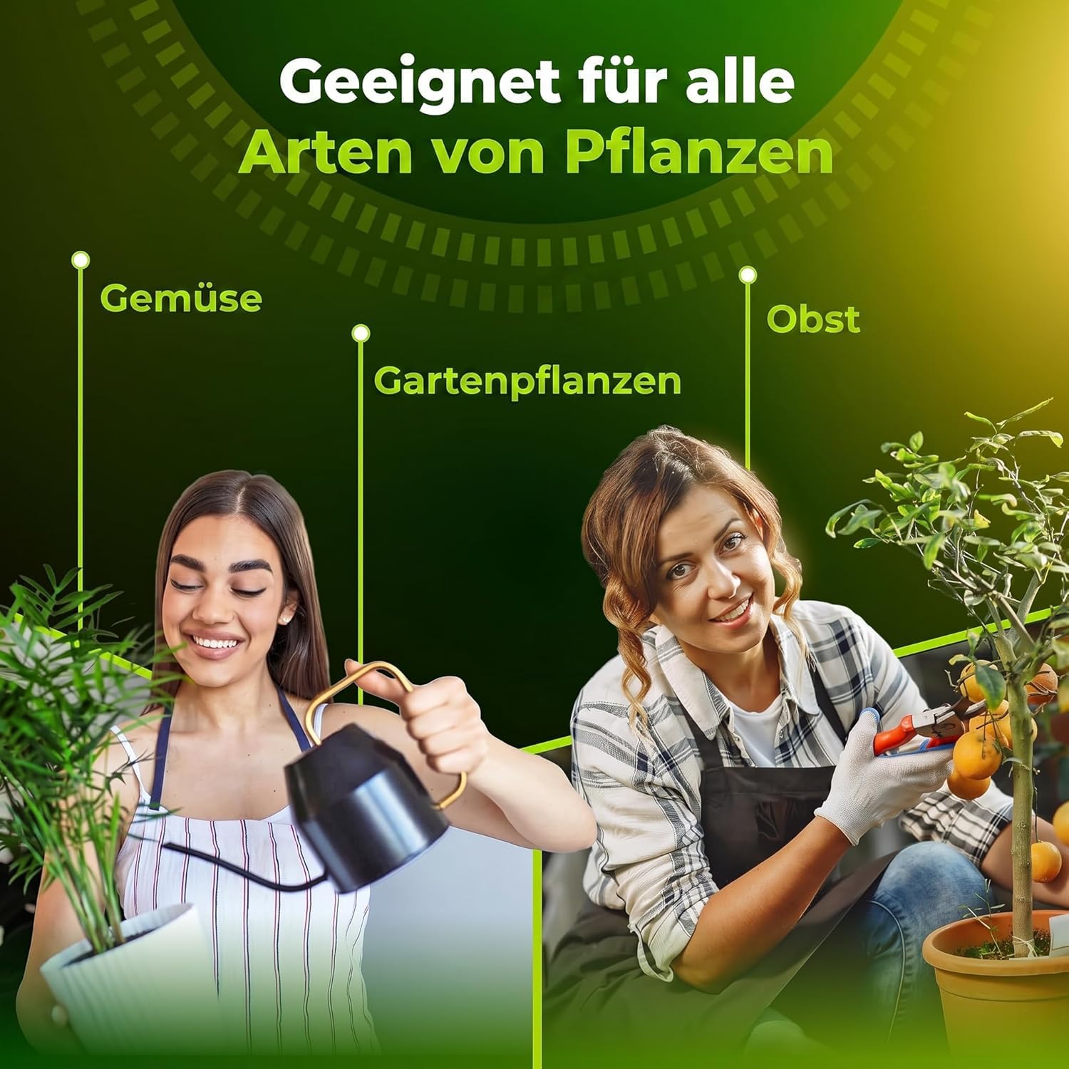 Trabe Bacillus Thuringiensis 3 Stück, 40 g – Raupenfrei - Zünslerfrei Buchsbaum und Raupen Plantura - Buchsbaumzünsler an Buchsbäumen - Respektiert Tiere, Umwelt und Menschen
