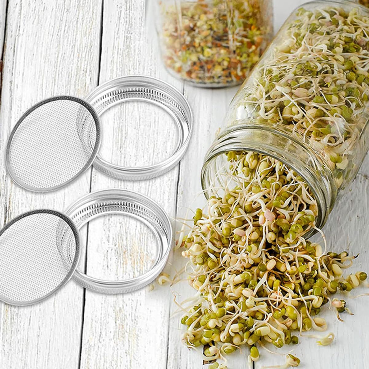Tapas de Malla para Frascos de Germinación 6 Piezas, Acero Inoxidable 304, Filtro Colador para Brotes, Compatible Frascos de Boca Ancha, Tapa Duradera para Cocina y Hogar