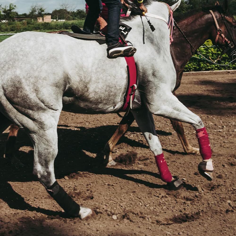 View 5