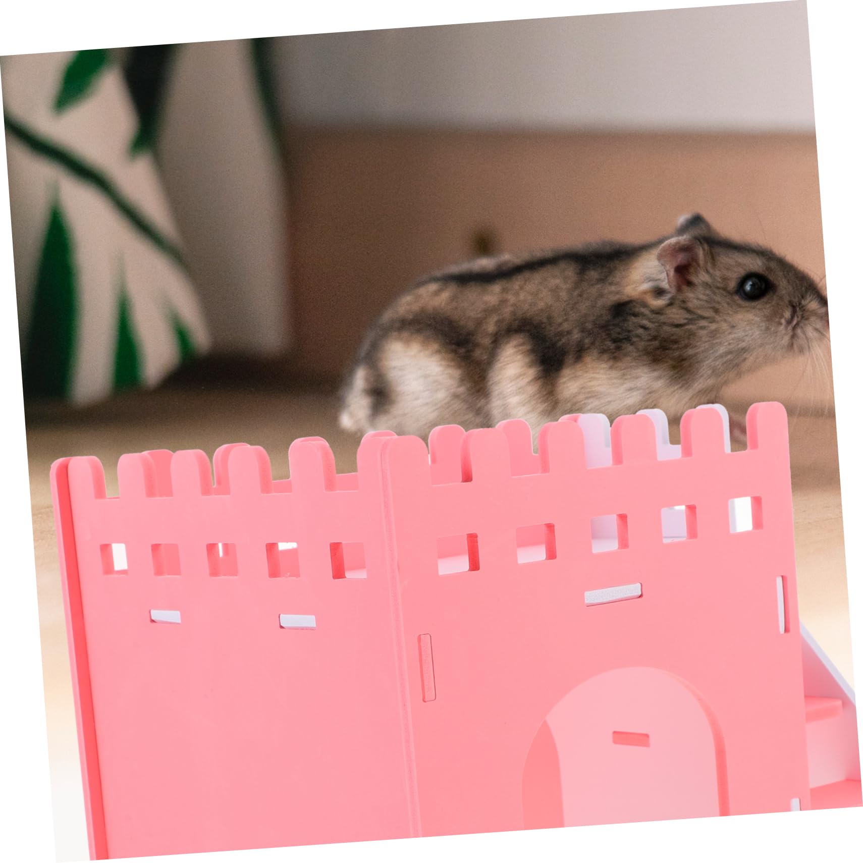 Happyyami Hamsterhaus mit Rampe und Labyrinth Spiel und Ruheplatz für Kleintiere Robustes und Bruchsicheres Design Leicht zu Reinigen und Pflegen