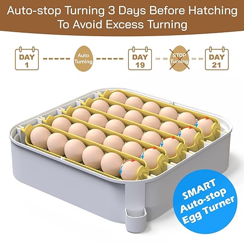 Miniatura 5 de MATICOOPX Incubadora de 30 huevos con pantalla de humedad, vela de huevos, girador automático de huevos, para incubar pollos