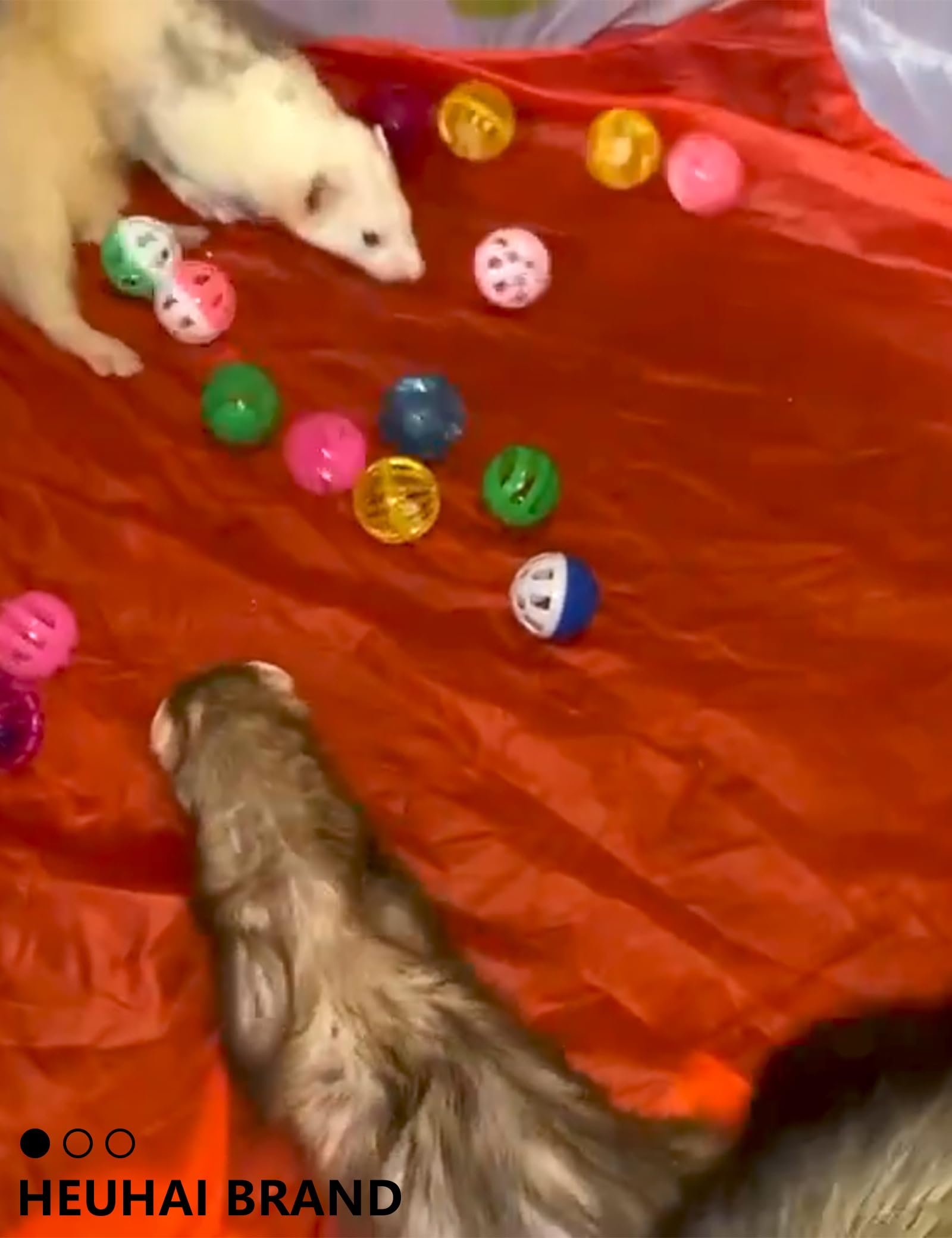 10-Pack Resilient Ferret Toys, Colorful Teething Balls, Bells, Interactive Stimulation, Easy-Clean for Oral Health (1.5'' - 2.7'', Ferret Toys Mega Set) 4