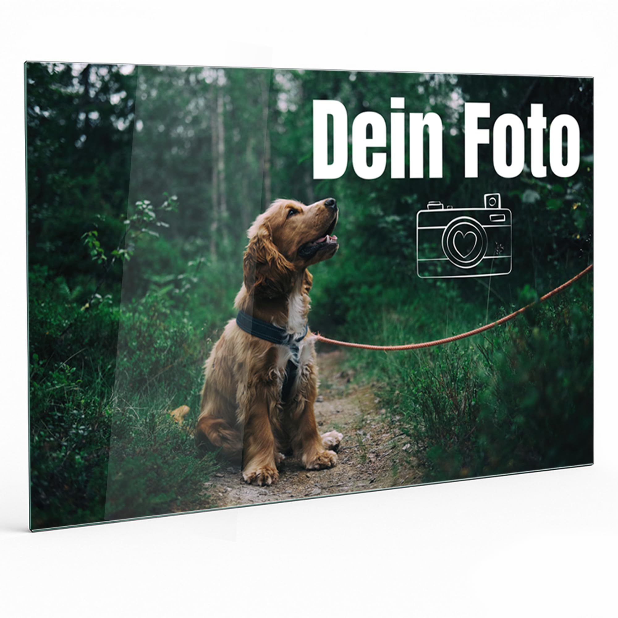 GRAZDesign Küchenrückwand aus Glas mit eigenem Foto – Spritzschutz Küche personalisierbar | viele Größen | ESG Sicherheitsglas fugenlos & hygienisch (80x60cm)