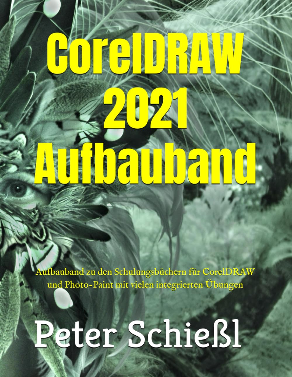 CorelDRAW 2021 Aufbauband: Schulungsbuch mit vielen integrierten Übungen: Aufbauband zu den Schulungsbüchern für CorelDRAW 2021 und Photo-Paint 2021 ... CorelDRAW + Corel Photo-Paint + Aufbauband)