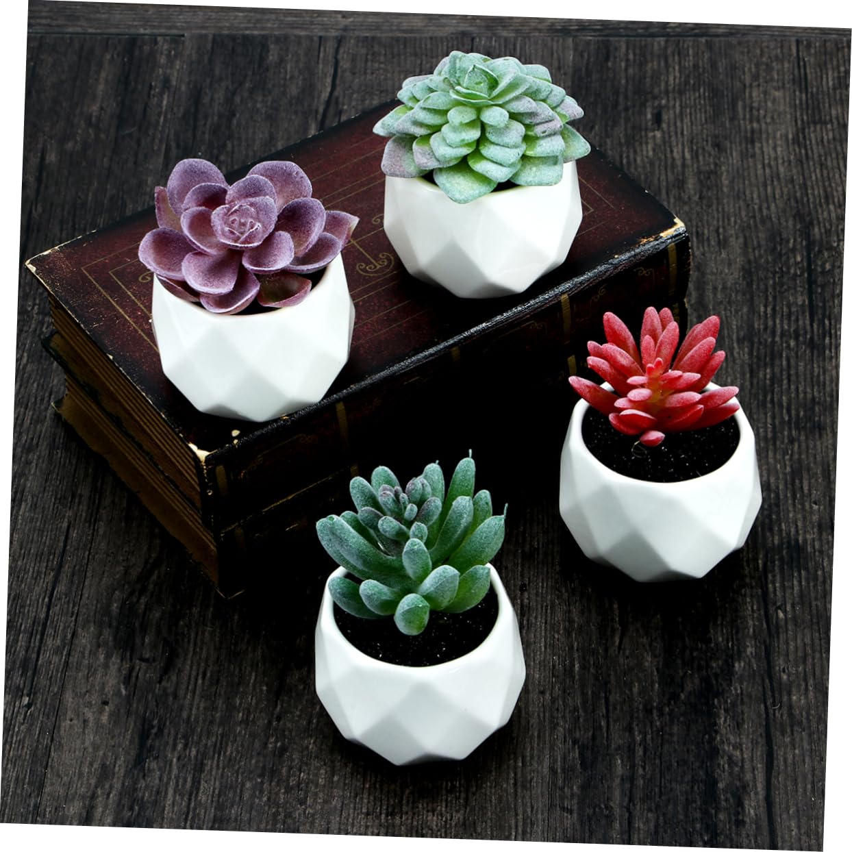 Alipis Plante Grasse Artificielle en Pot 4 Pièces, Céramique PVC | Décorations de Bureau et Comptoir, Formes Variées, Rendu Vivant, Idée Présent Créative