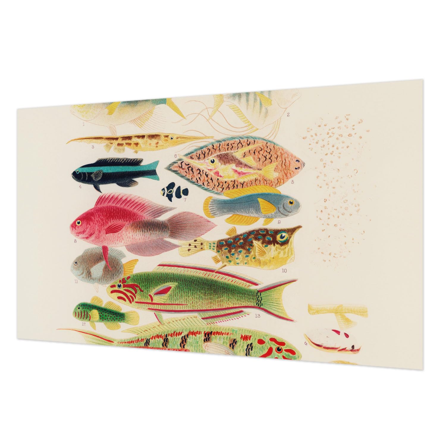Papier peint intissé poissons colorés 416x254 cm avec colle incluse Tulup
