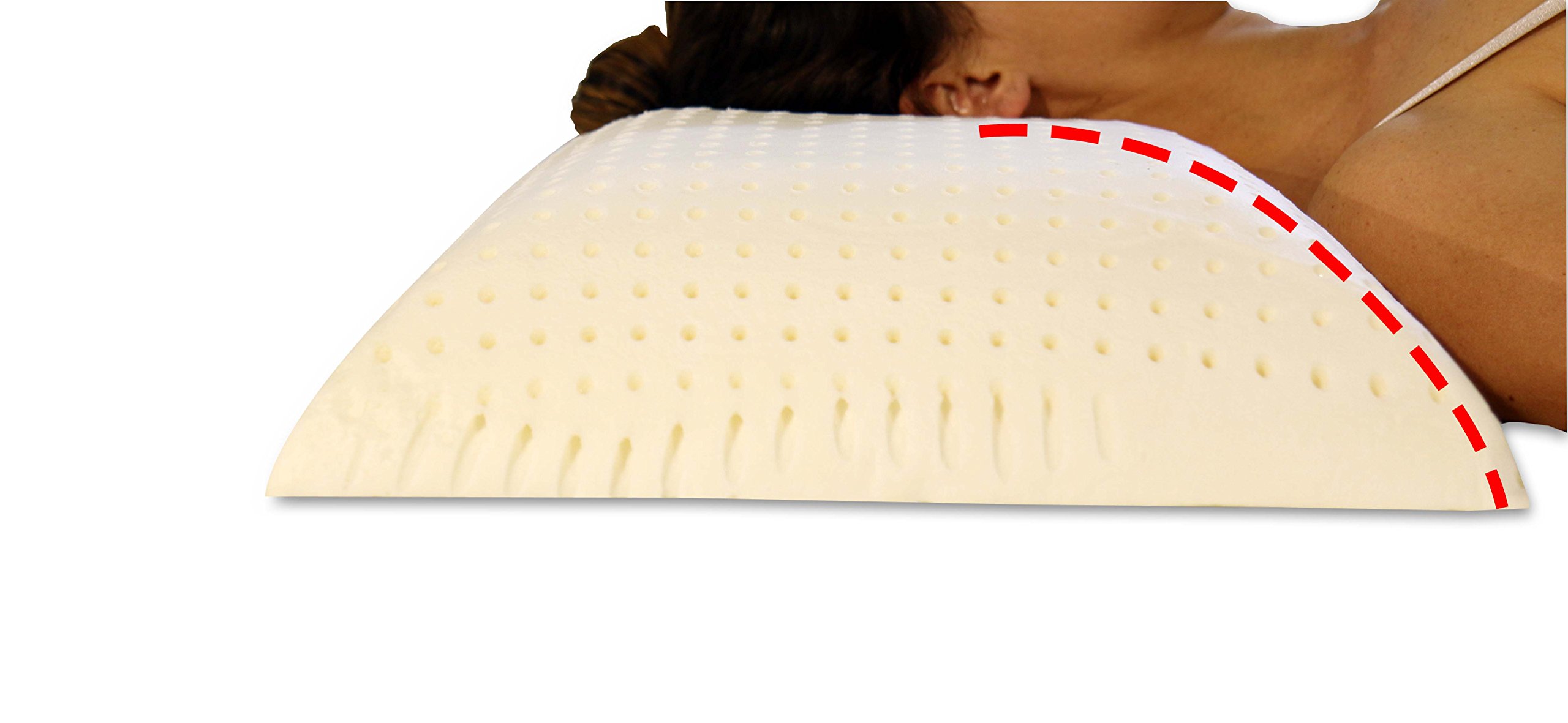 Evergreenweb - Coppia Cuscini Memory Foam Cervicale Misura 42x72 Alti 15 cm, Doppia Fodera in Silver Life e Cotone Naturale