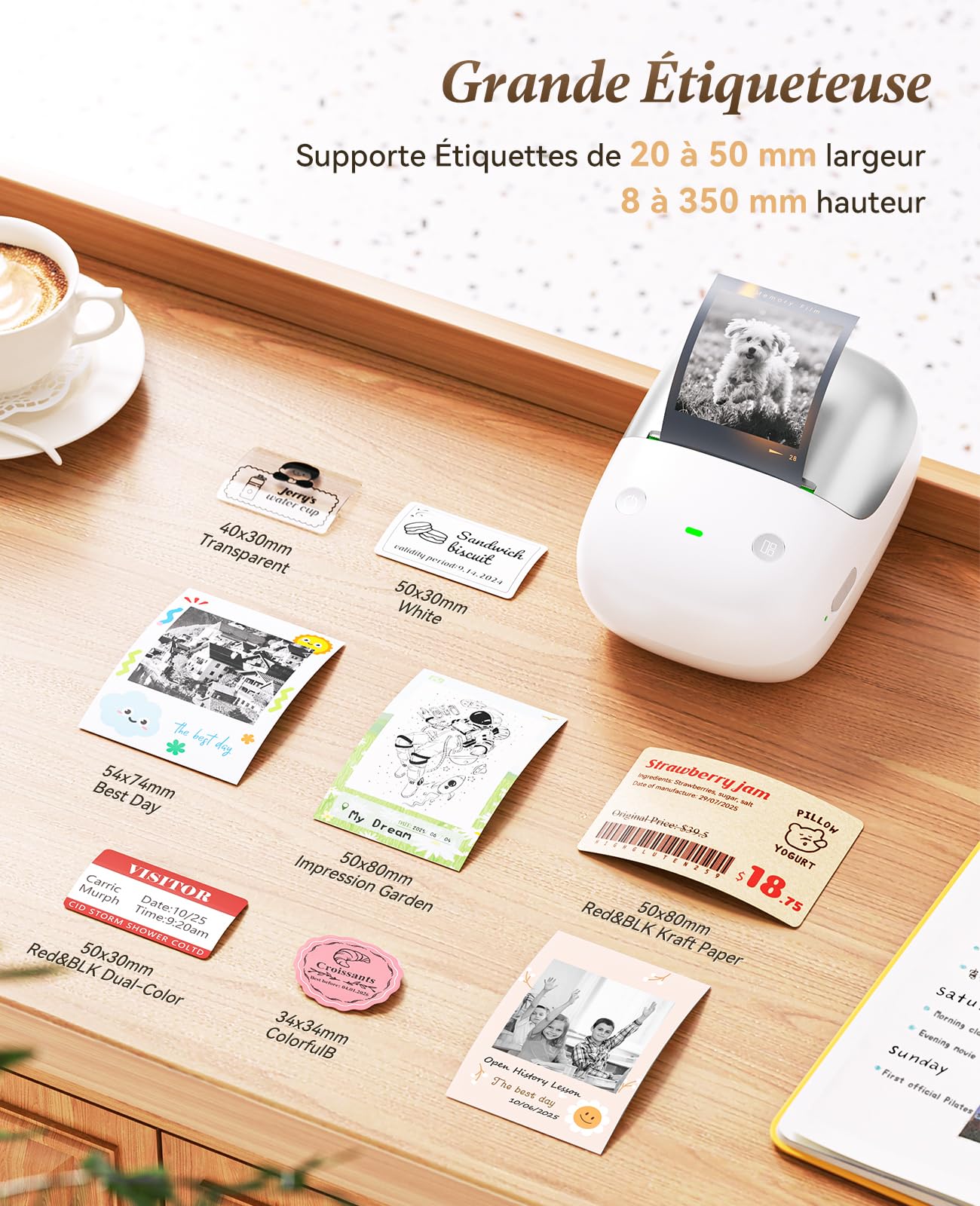 NIIMBOT B2Pro Étiqueteuse 300 DPI, imprimante d'étiquettes Autocollantes, Connexion Bluetooth pour téléphone et PC, avec 1 Rouleau d'étiquettes pour la Maison,Cuisine, Le Bureau, l'école