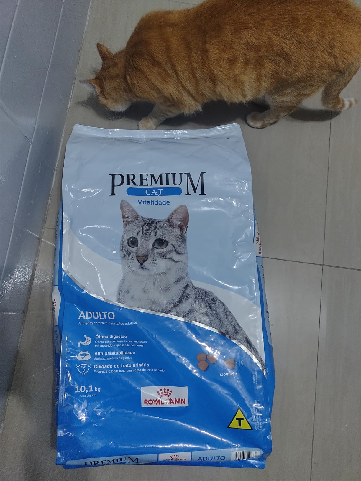 Ração Royal Canin Premium Cat Vitalidade para Gatos Adultos 10,1kg