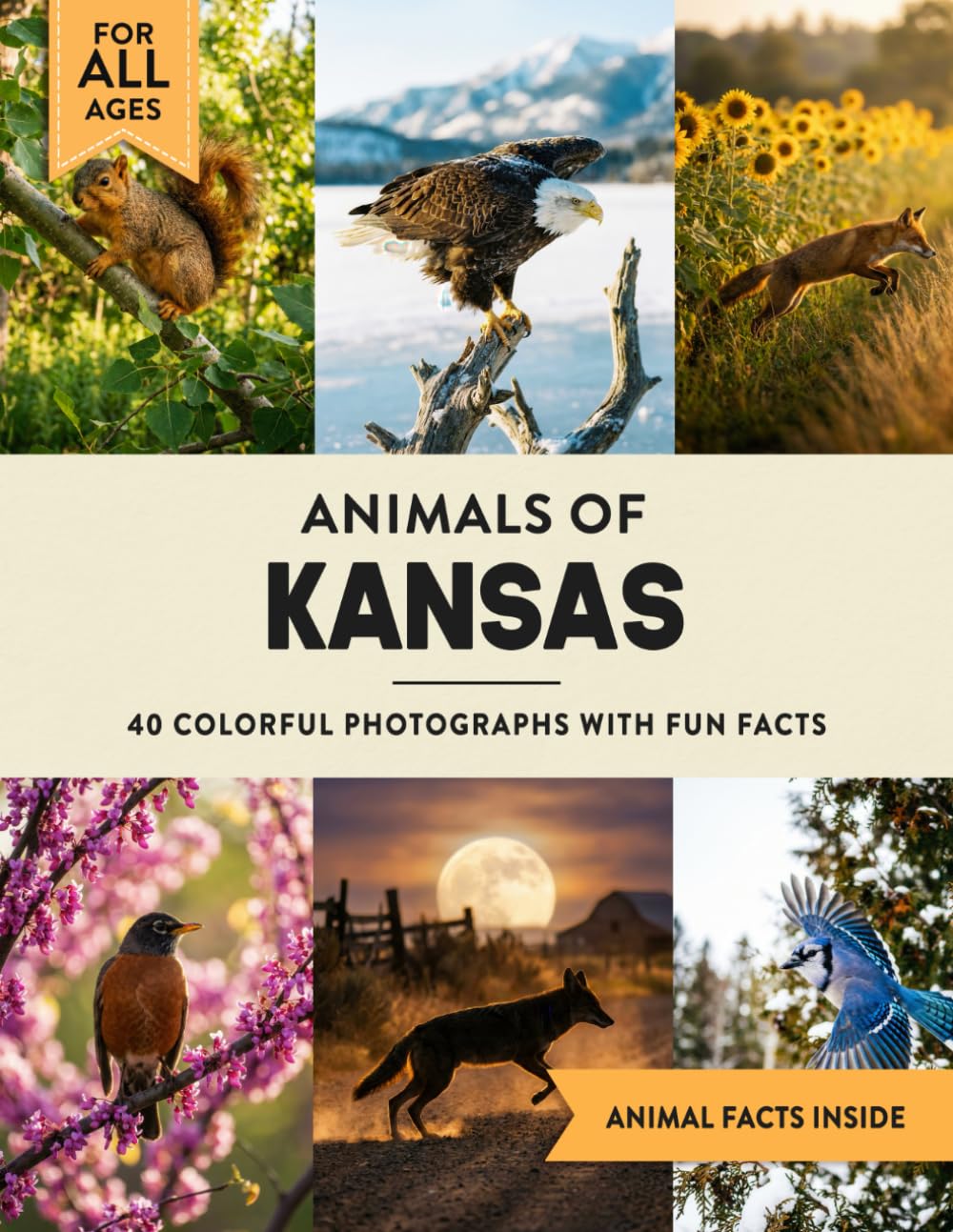 Animals of Kansas: Learn All About Sunflower State Wildlife in a Fun Fact Picture Book for Kids and Adults