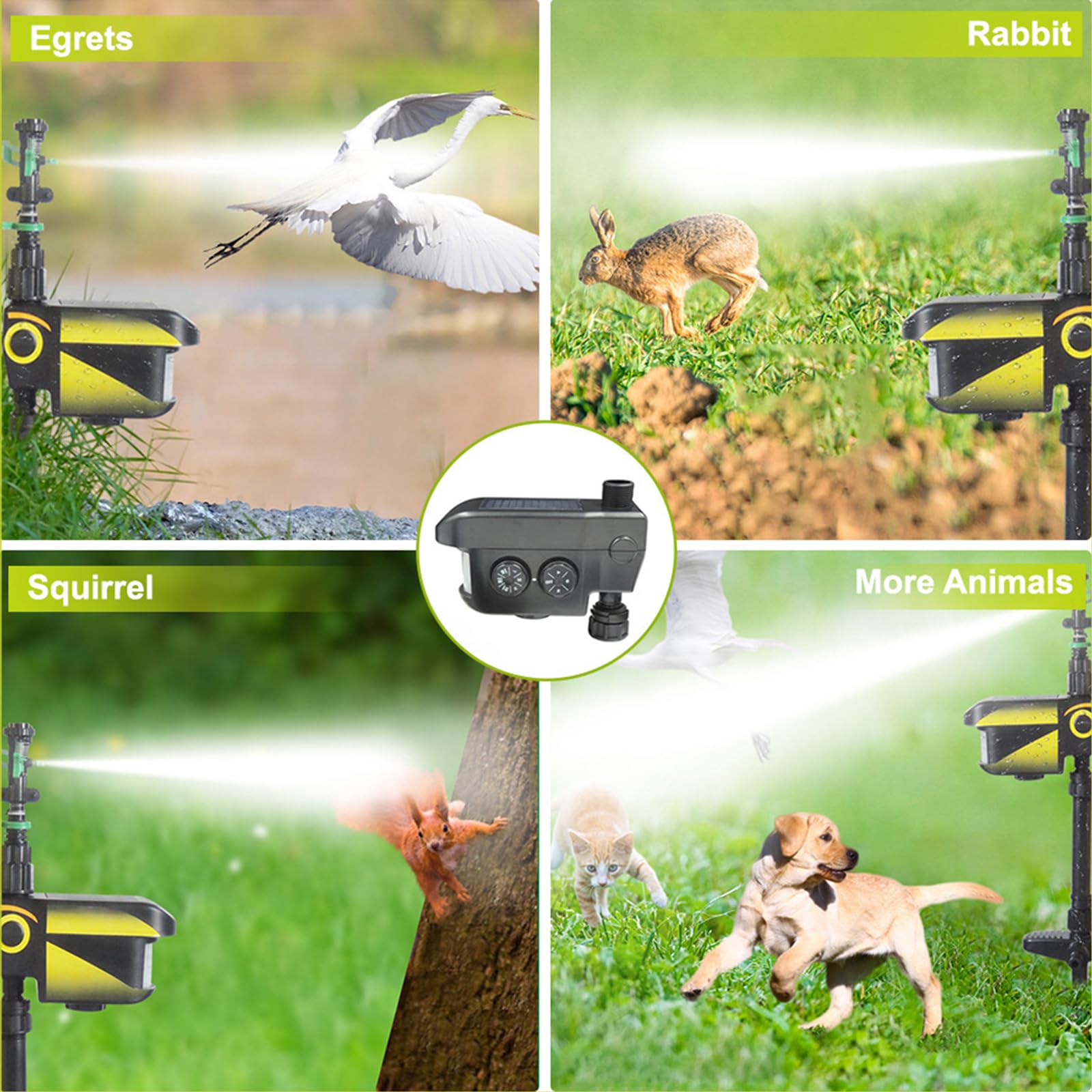 Irrigatore da giardino ad energia solare: timer programmabile, design resistente alle intemperie e facile installazione per irrigazione da giardino all'aperto