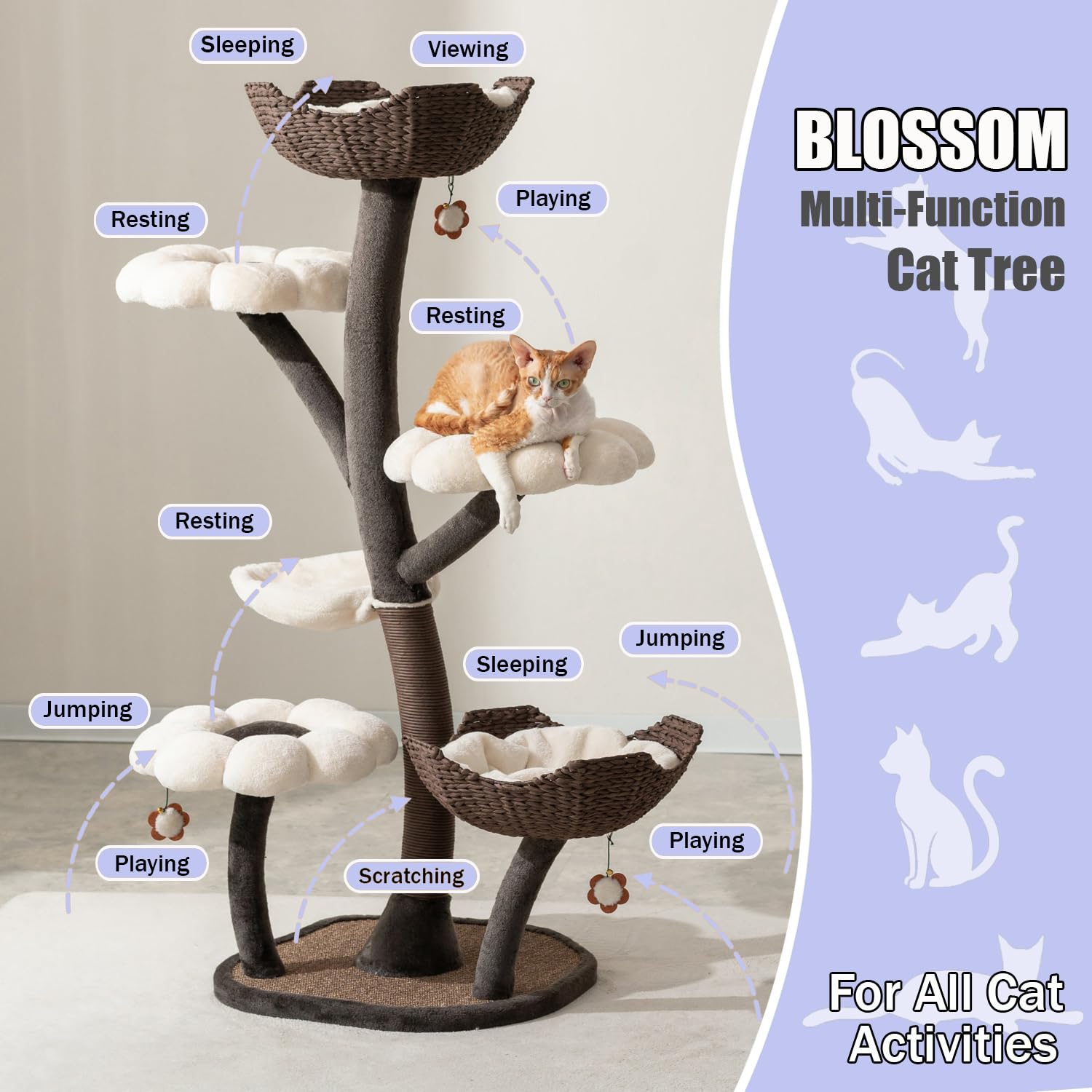 Amazon | Catry Cat Tree - ブロッサム - オールインワン キャット