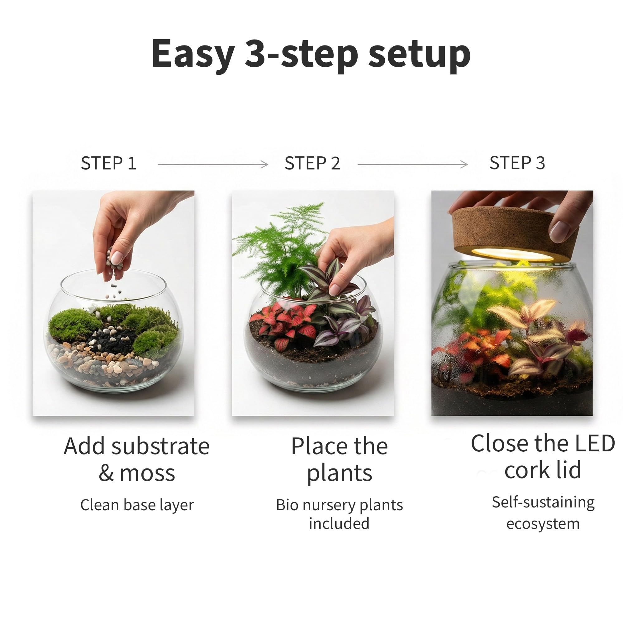 vdvelde.com - Bonsai Ökosystem - Bonsai und Minipflanzen - Ø 25cm ↥ 28cm - Batteriebetriebene Beleuchtung