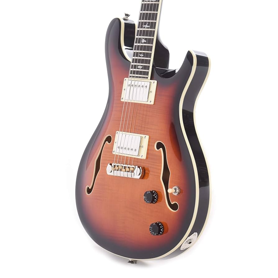 PRS SE Hollowbody サンバースト PAUL REED SMITH SE Hollowbody Standard (McCarty Tobacco