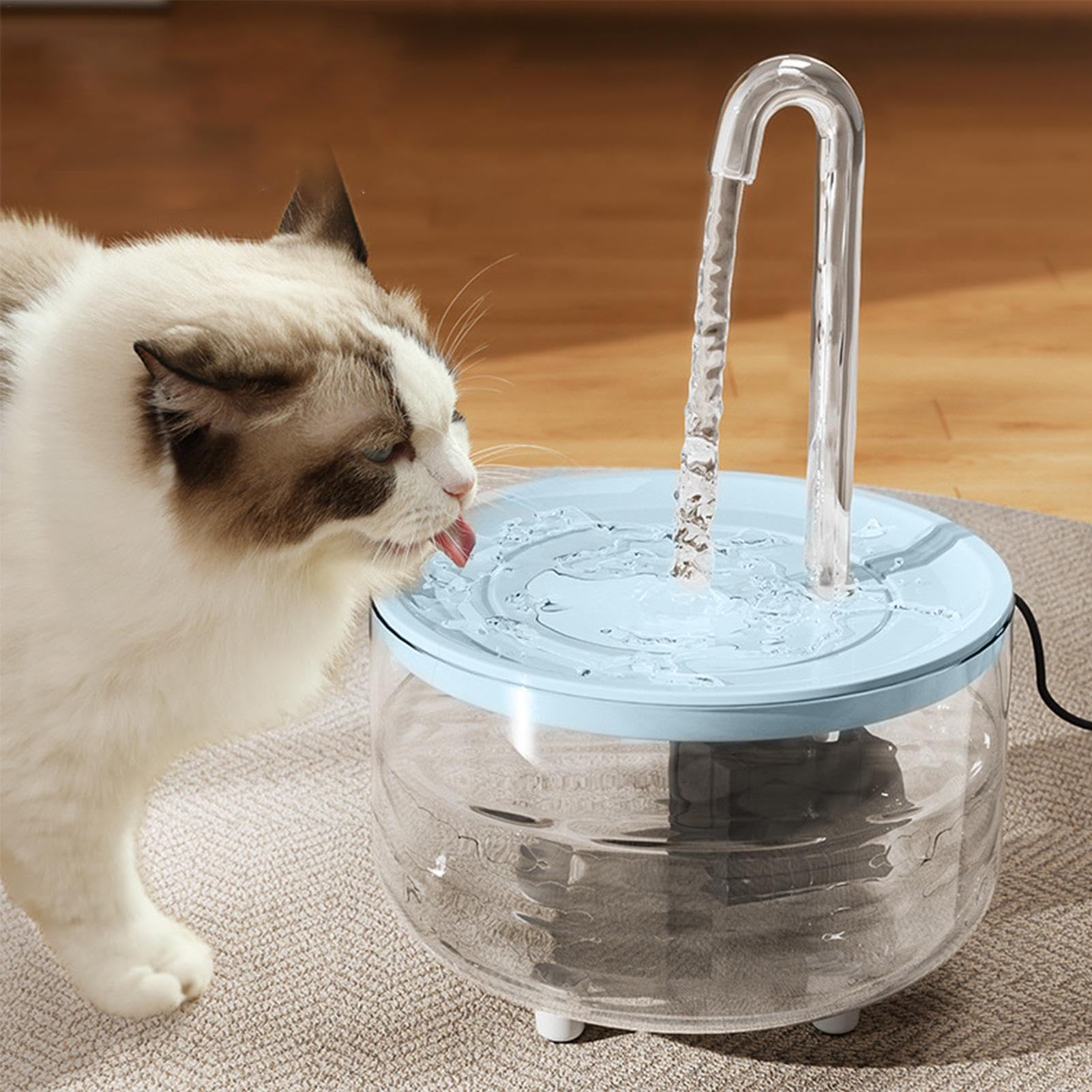 Fuente de agua para gatos, cuenco de agua para gatos, filtración de