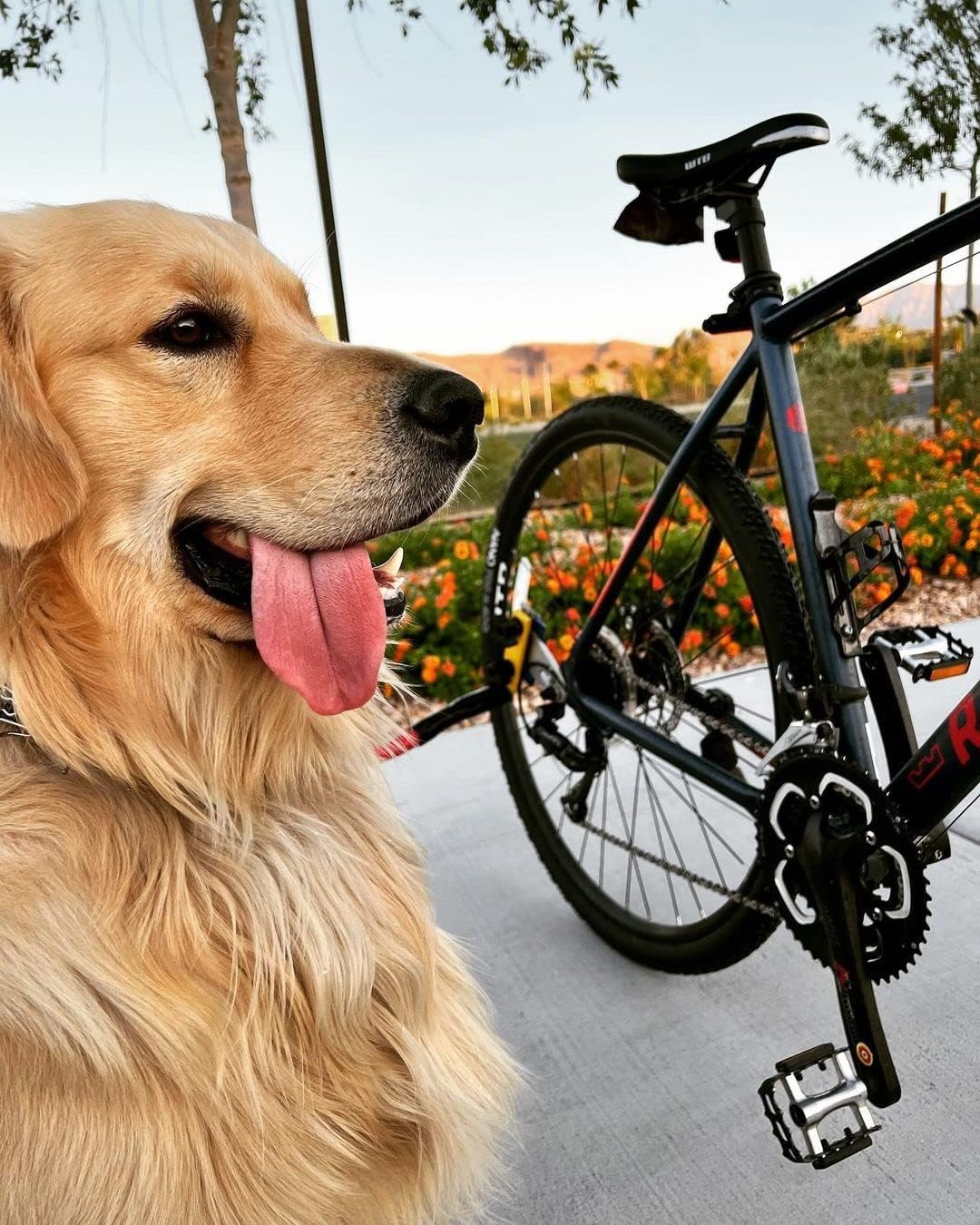 Quick Mount for Bike Tow Leash