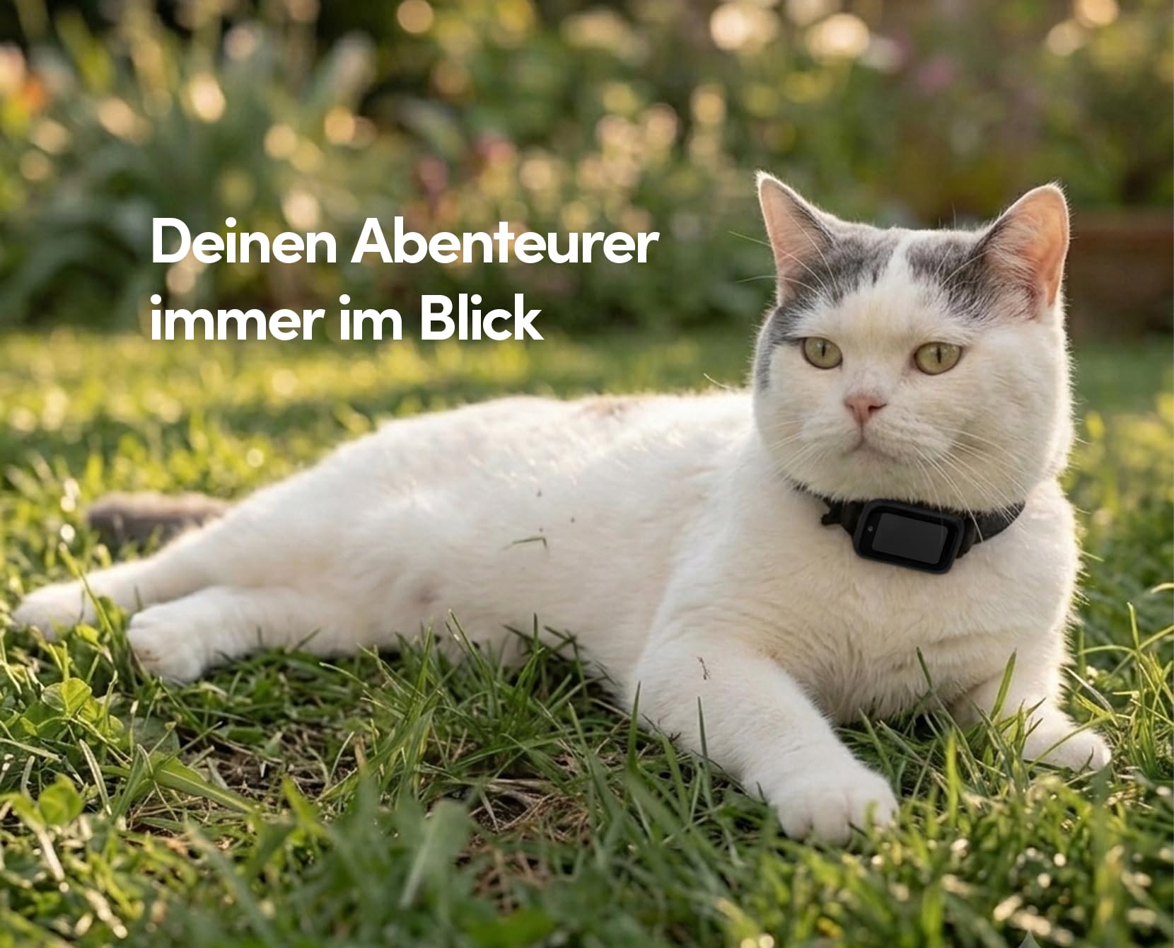 Spotter CatX - Localizzatore GPS per gatti con display, senza ABO